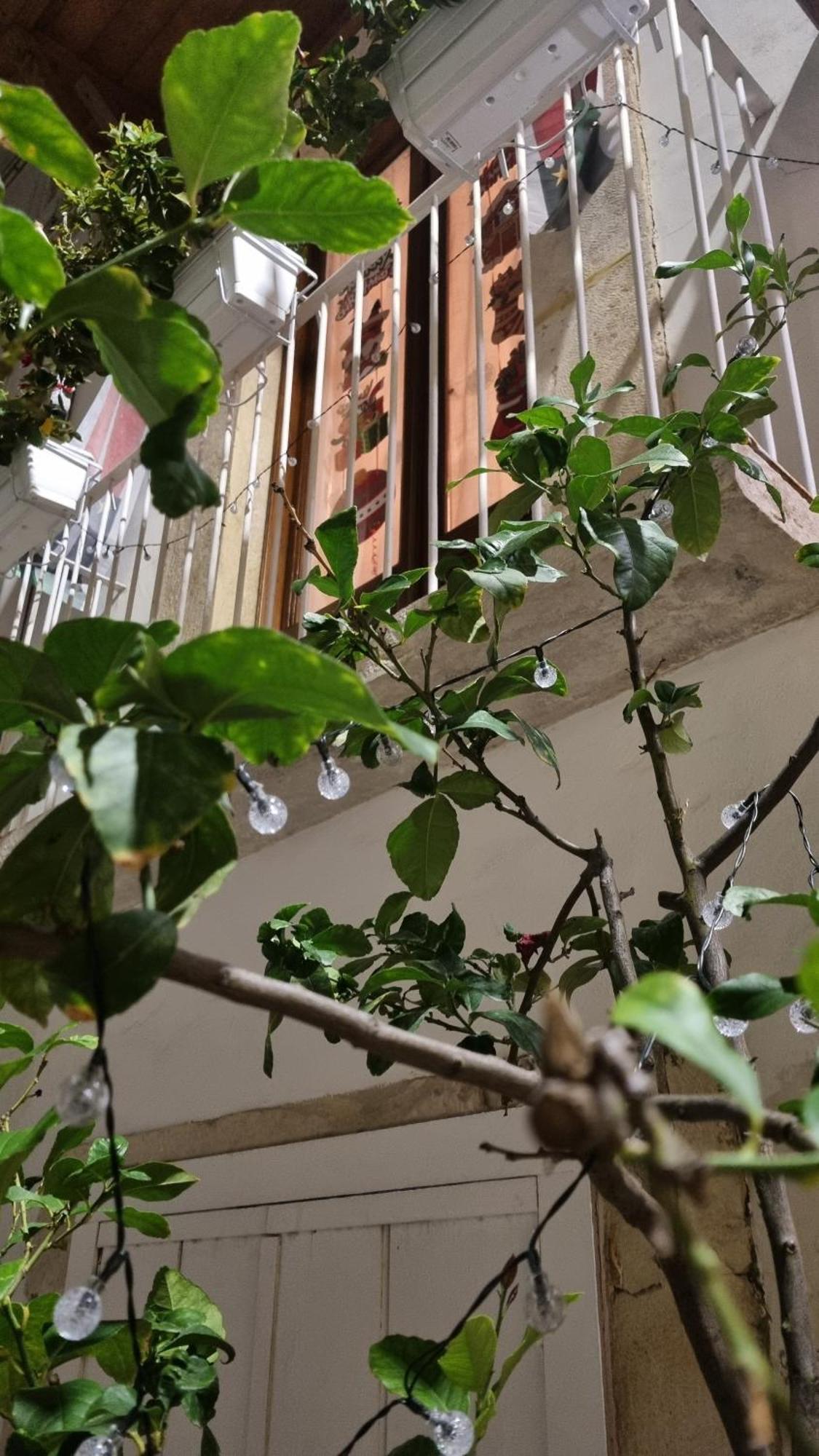 Apartmán In Parva Domus Bitonto Exteriér fotografie